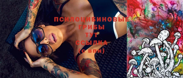 дмт Алзамай