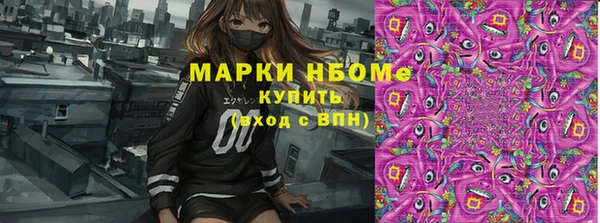 сатива Алексеевка