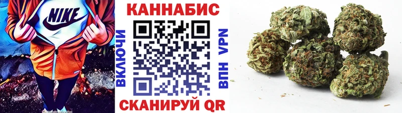 Бошки Шишки гибрид  Яблоновский 